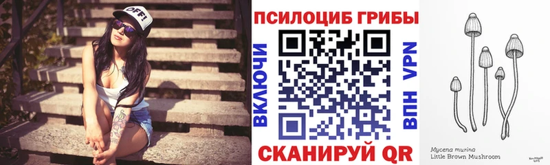 Псилоцибиновые грибы Cubensis  цена наркотик  Урень 